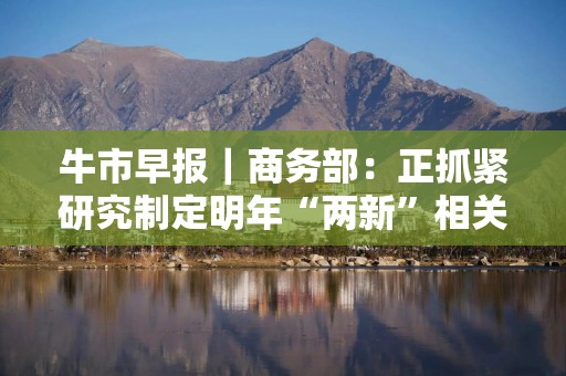 牛市早报｜商务部：正抓紧研究制定明年“两新”相关政策