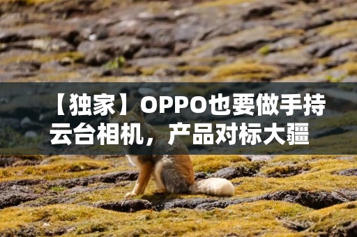 【独家】OPPO也要做手持云台相机，产品对标大疆