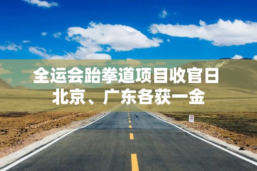 全运会跆拳道项目收官日 北京、广东各获一金
