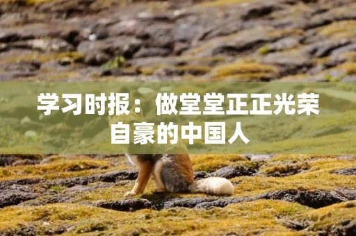 学习时报：做堂堂正正光荣自豪的中国人