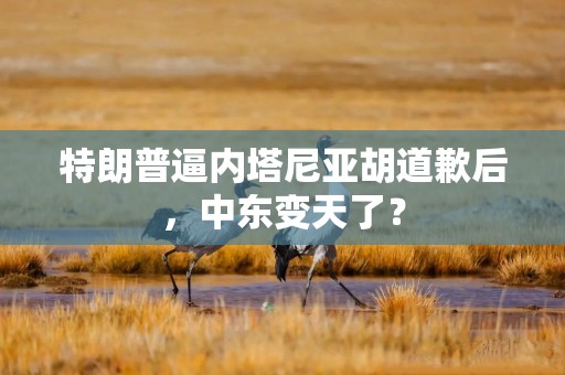 特朗普逼内塔尼亚胡道歉后，中东变天了？