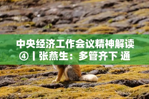中央经济工作会议精神解读④丨张燕生：多管齐下 通过综合施策和精准施策稳住外贸外资