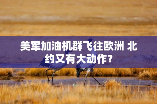 美军加油机群飞往欧洲 北约又有大动作？