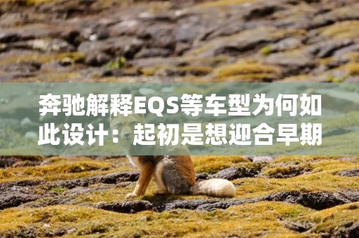 奔驰解释EQS等车型为何如此设计：起初是想迎合早期电动汽车用户