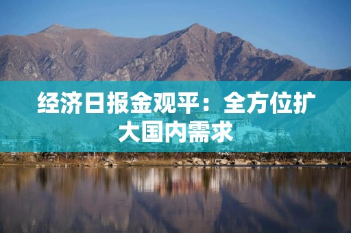 经济日报金观平：全方位扩大国内需求