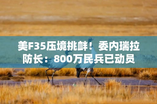 美F35压境挑衅！委内瑞拉防长：800万民兵已动员