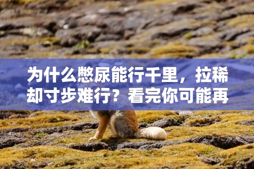 为什么憋尿能行千里，拉稀却寸步难行？看完你可能再也不憋了！