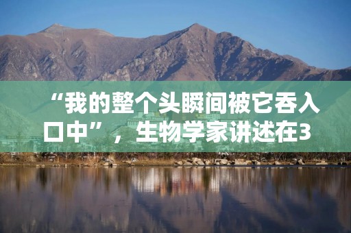 “我的整个头瞬间被它吞入口中”，生物学家讲述在37米深的海底遭鲨鱼袭击经历