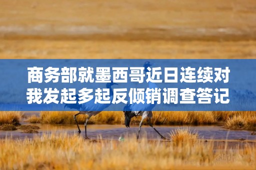 商务部就墨西哥近日连续对我发起多起反倾销调查答记者问