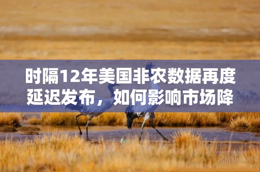 时隔12年美国非农数据再度延迟发布，如何影响市场降息预期？