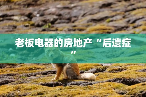 老板电器的房地产“后遗症”