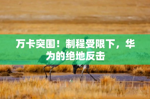 万卡突围！制程受限下，华为的绝地反击