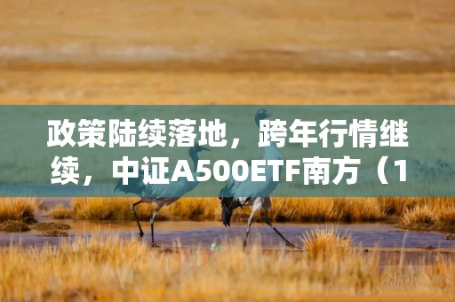 政策陆续落地，跨年行情继续，中证A500ETF南方（159352）开盘拉升，海光信息涨超7%！