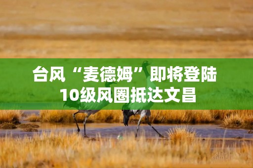 台风“麦德姆”即将登陆 10级风圈抵达文昌