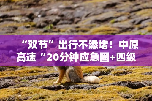 “双节”出行不添堵！中原高速“20分钟应急圈+四级清障” 破解高速拥堵难题