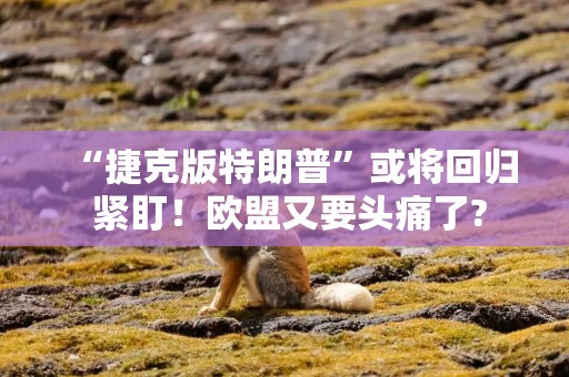 “捷克版特朗普”或将回归 紧盯！欧盟又要头痛了?