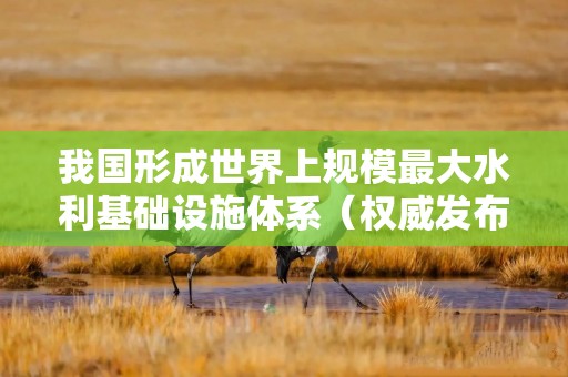 我国形成世界上规模最大水利基础设施体系（权威发布·高质量完成“十四五”规划）
