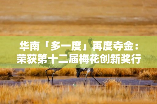 华南「多一度」再度夺金：荣获第十二届梅花创新奖行业金奖！