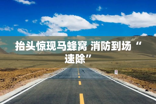 抬头惊现马蜂窝 消防到场“速除”