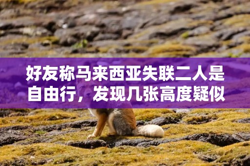 好友称马来西亚失联二人是自由行，发现几张高度疑似二人照片：穿了潜水服拿了呼吸面罩