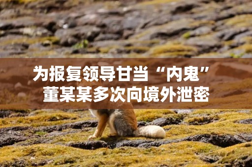 为报复领导甘当“内鬼” 董某某多次向境外泄密