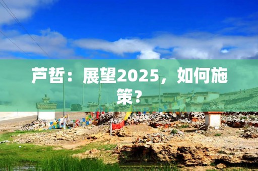 芦哲：展望2025，如何施策？