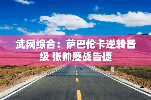 武网综合：萨巴伦卡逆转晋级 张帅鏖战告捷