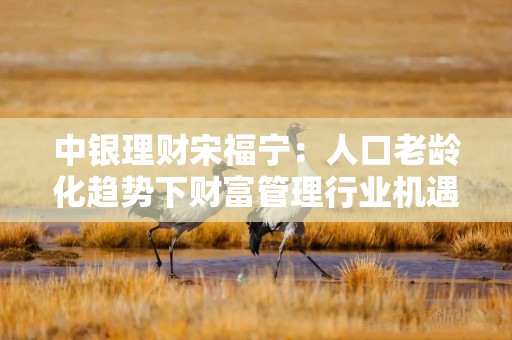 中银理财宋福宁：人口老龄化趋势下财富管理行业机遇和挑战并存