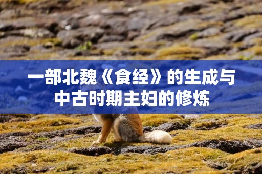 一部北魏《食经》的生成与中古时期主妇的修炼