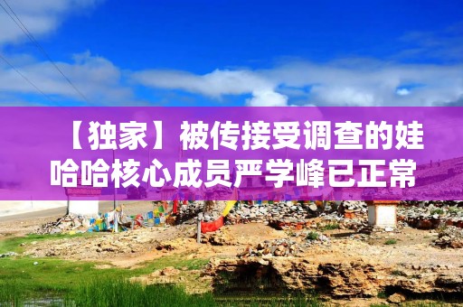 【独家】被传接受调查的娃哈哈核心成员严学峰已正常上班