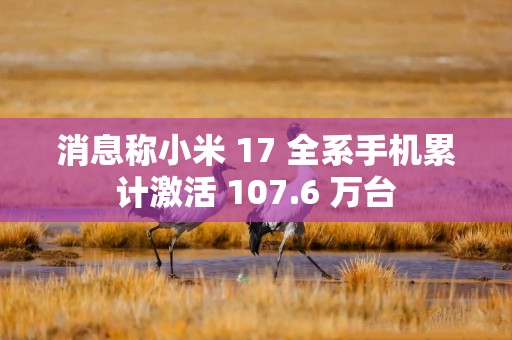 消息称小米 17 全系手机累计激活 107.6 万台
