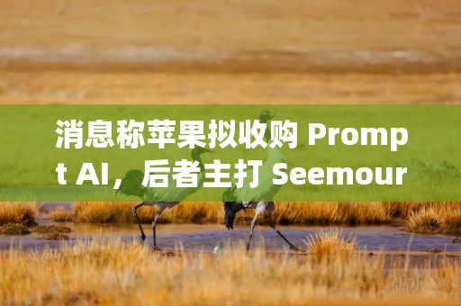 消息称苹果拟收购 Prompt AI，后者主打 Seemour 应用