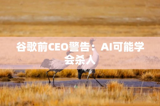 谷歌前CEO警告：AI可能学会杀人