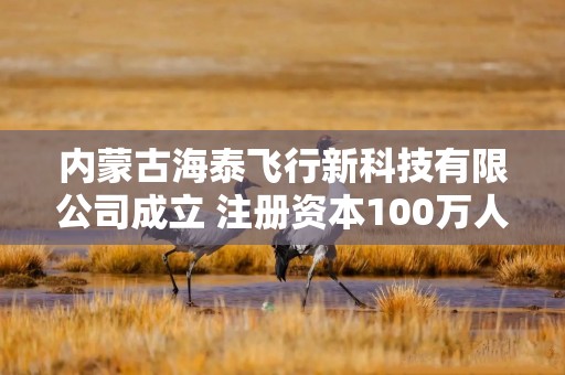 内蒙古海泰飞行新科技有限公司成立 注册资本100万人民币