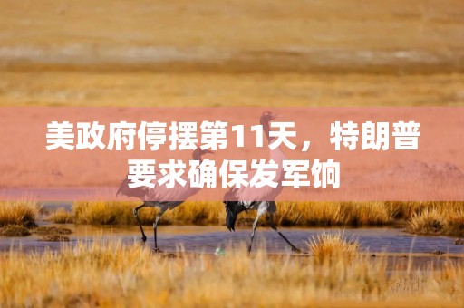美政府停摆第11天，特朗普要求确保发军饷