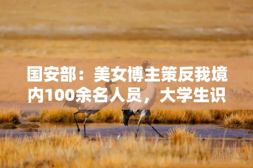 国安部：美女博主策反我境内100余名人员，大学生识破并举报