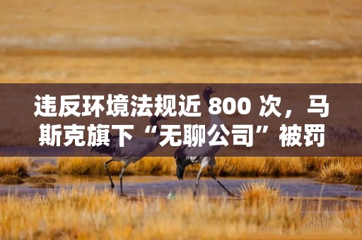 违反环境法规近 800 次，马斯克旗下“无聊公司”被罚 24 万美元