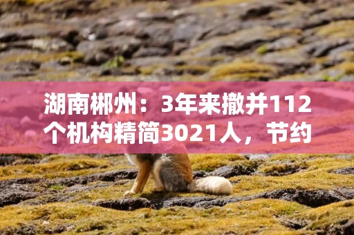 湖南郴州：3年来撤并112个机构精简3021人，节约1.2亿元