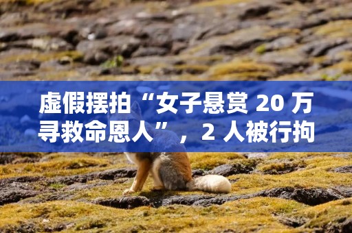 虚假摆拍“女子悬赏 20 万寻救命恩人”，2 人被行拘