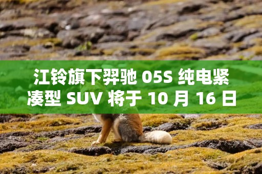 江铃旗下羿驰 05S 纯电紧凑型 SUV 将于 10 月 16 日上市，预售价 10.38 万元起