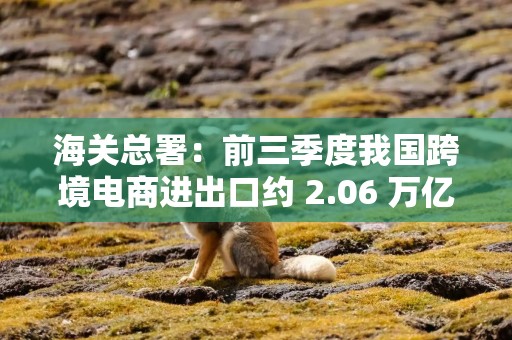 海关总署：前三季度我国跨境电商进出口约 2.06 万亿元，增长 6.4%