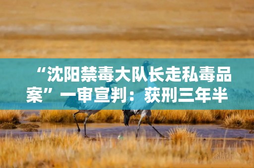 “沈阳禁毒大队长走私毒品案”一审宣判：获刑三年半 当庭表示上诉