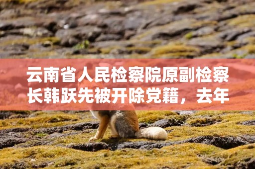 云南省人民检察院原副检察长韩跃先被开除党籍，去年12月主动投案，曾任反贪局局长