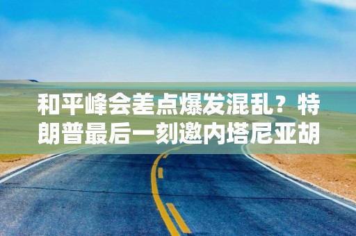 和平峰会差点爆发混乱？特朗普最后一刻邀内塔尼亚胡参会，埃尔多安：他去，我就不去了
