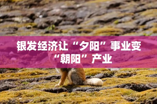 银发经济让“夕阳”事业变“朝阳”产业