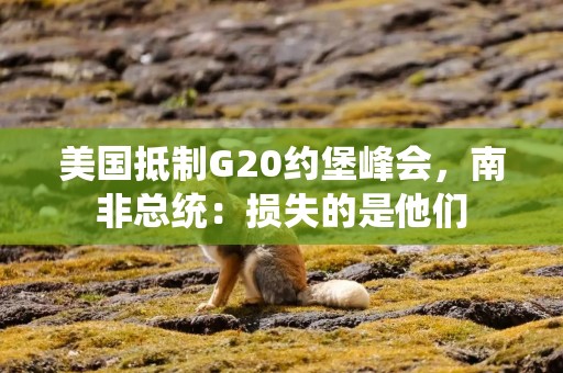 美国抵制G20约堡峰会，南非总统：损失的是他们