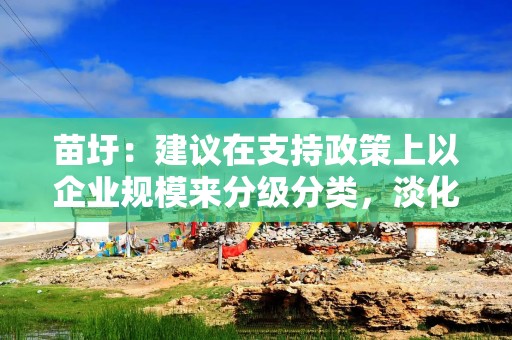 苗圩：建议在支持政策上以企业规模来分级分类，淡化所有制标签