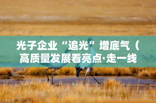 光子企业“追光”增底气（高质量发展看亮点·走一线）