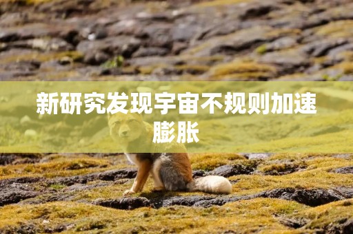 新研究发现宇宙不规则加速膨胀