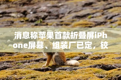 消息称苹果首款折叠屏iPhone屏幕、组装厂已定，铰链待打磨